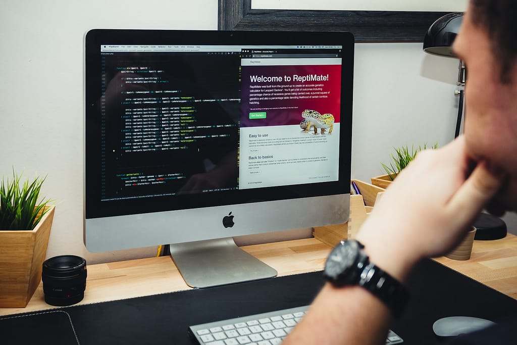 WordPress website designing in Mansfield